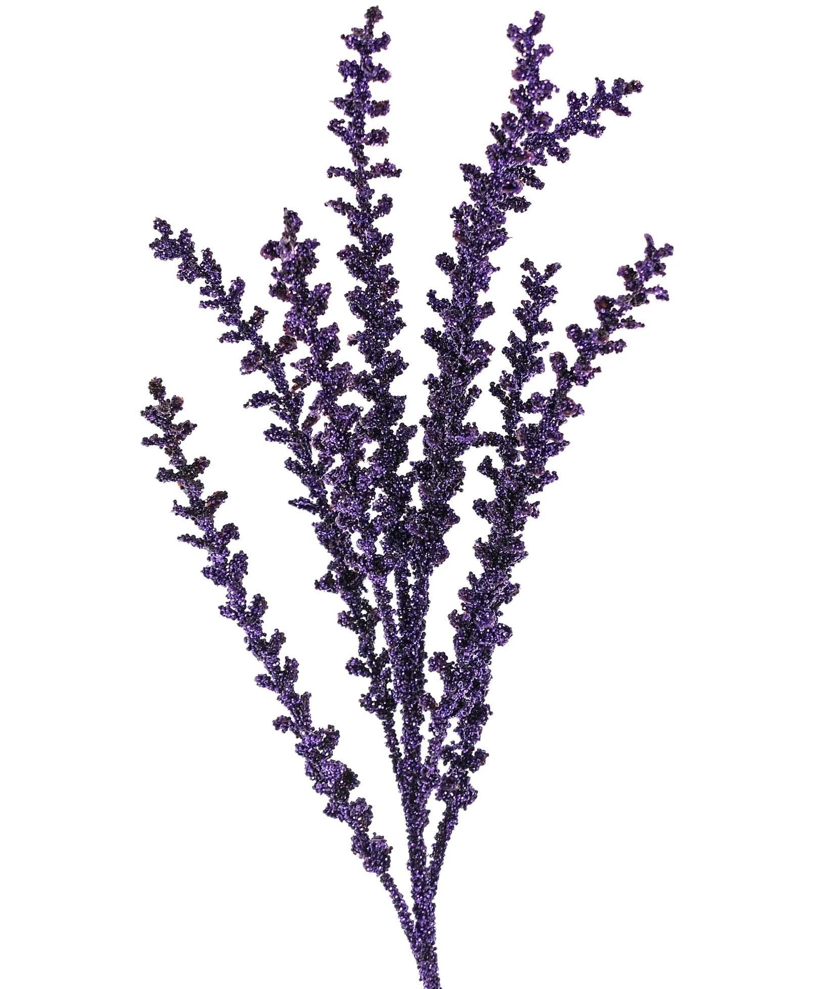 "Katherine's Collection Purple Prickly Witches Plant Pick, Set of 6"