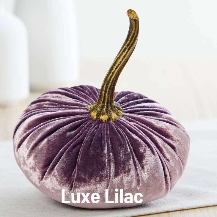 "Velvet Pumpkin, Luxe Lilac Purple - Small"