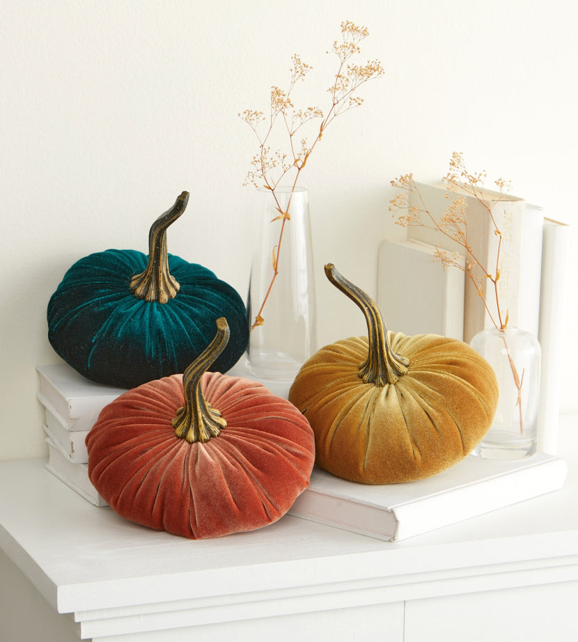 "Velvet Pumpkin, Tangerine Orange"