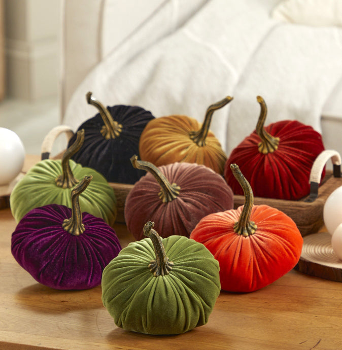 "Velvet Pumpkin, Tangerine Orange"