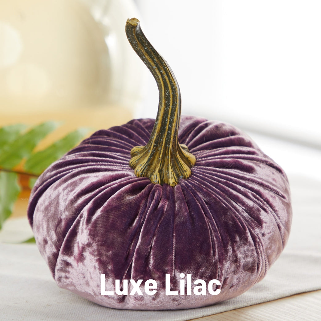 "Velvet Pumpkin, Luxe Lilac Purple"