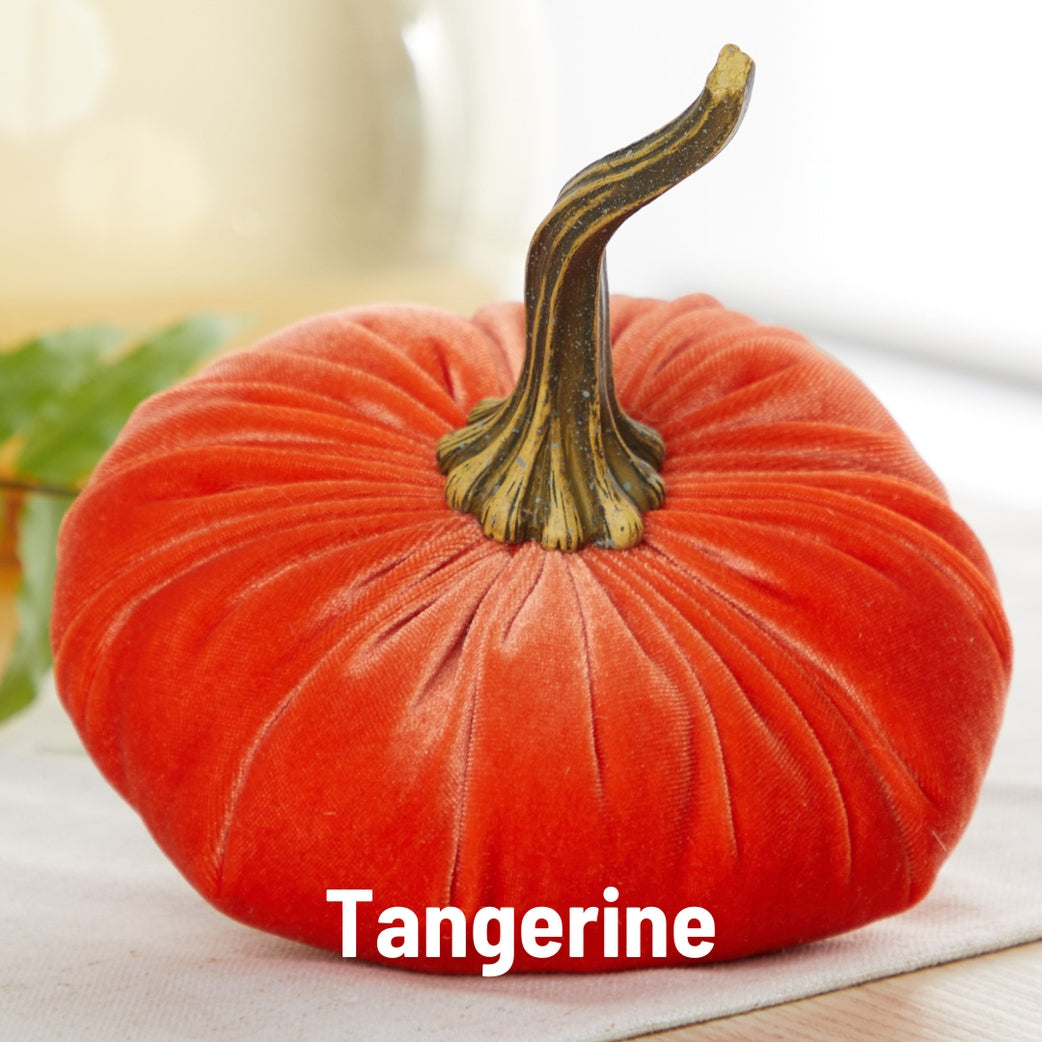 "Velvet Pumpkins, Tangerine - Bright Orange pumpkin"