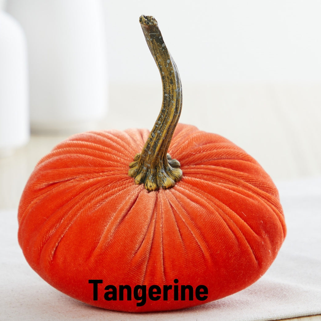 "Velvet Pumpkin - Bright Oraange, Tangerine"