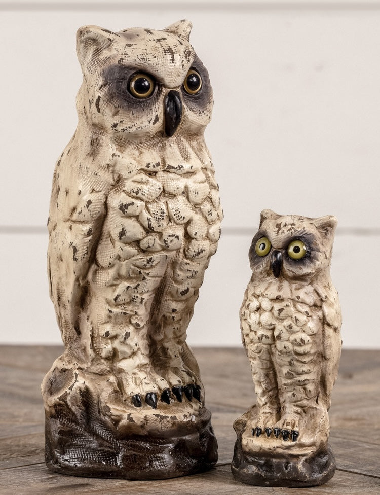 "White Owl, Large"
