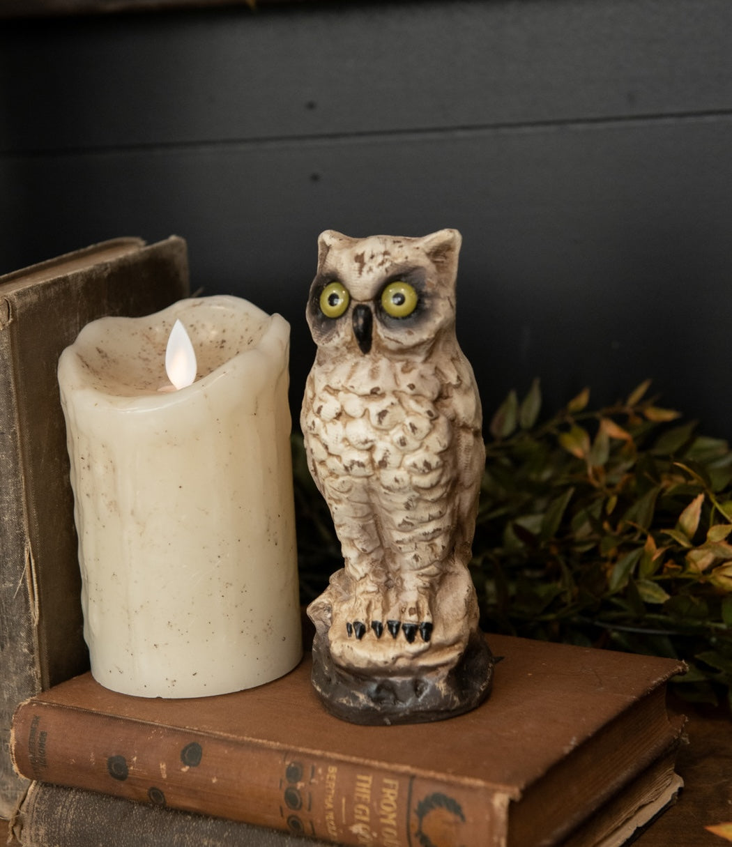 "White Owl, Small"